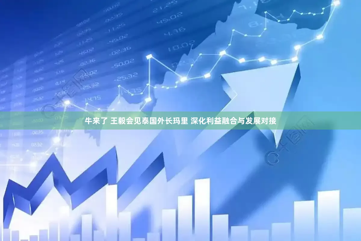 牛来了 王毅会见泰国外长玛里 深化利益融合与发展对接