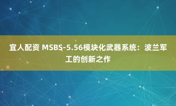 宜人配资 MSBS-5.56模块化武器系统：波兰军工的创新之作