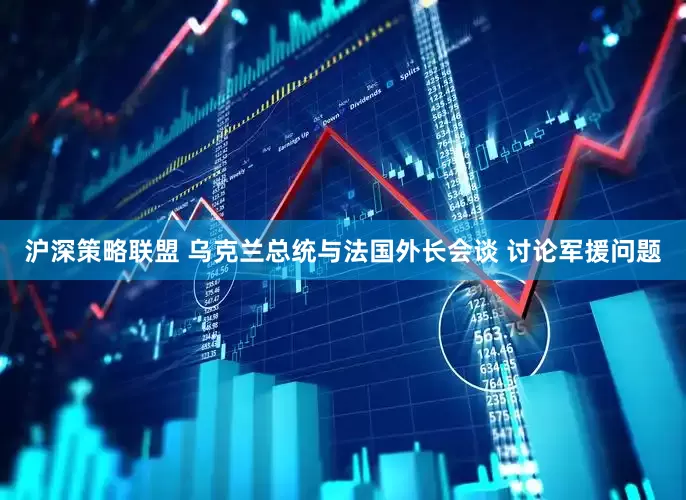沪深策略联盟 乌克兰总统与法国外长会谈 讨论军援问题