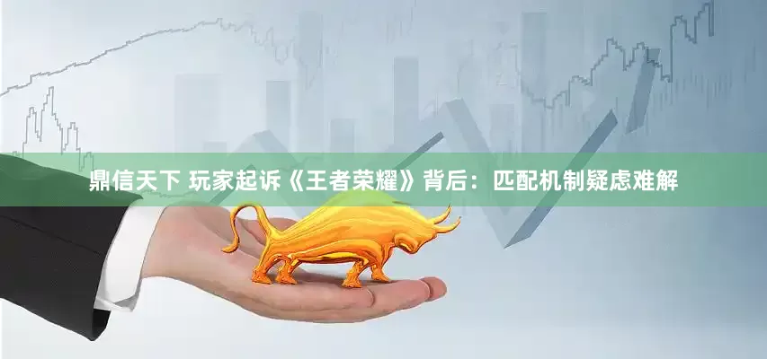 鼎信天下 玩家起诉《王者荣耀》背后：匹配机制疑虑难解