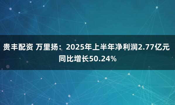 贵丰配资 万里扬：2025年上半年净利润2.77亿元 同比增长50.24%