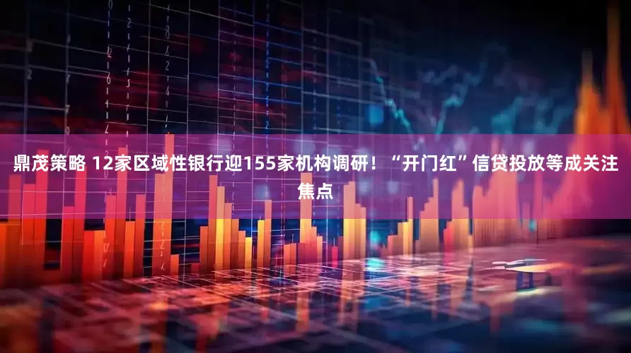 鼎茂策略 12家区域性银行迎155家机构调研！“开门红”信贷投放等成关注焦点