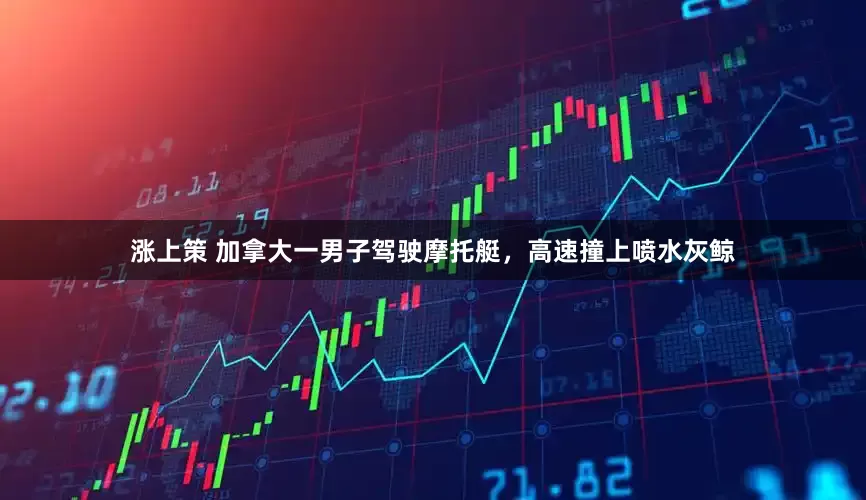 涨上策 加拿大一男子驾驶摩托艇，高速撞上喷水灰鲸